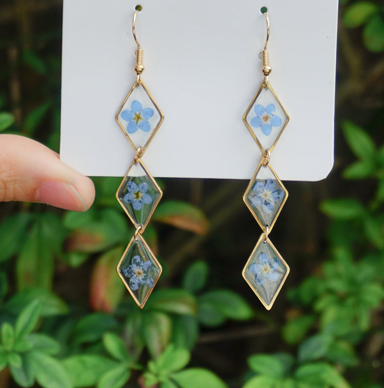 Blue Forget-Me-Not Dried Flower Earring