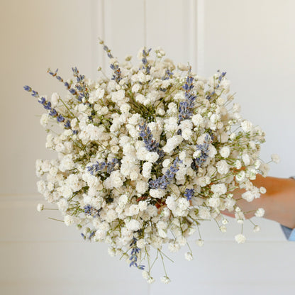 White Gypsophila & Lavender Dried Flower Bouquet